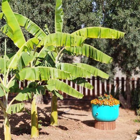 La Casita Del Naranjo Villa Agüimes Eksteriør billede