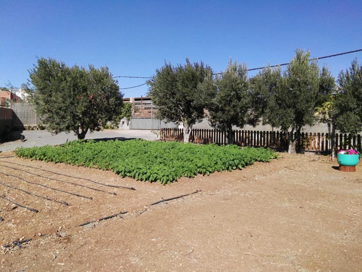 La Casita Del Naranjo Villa Agüimes Eksteriør billede