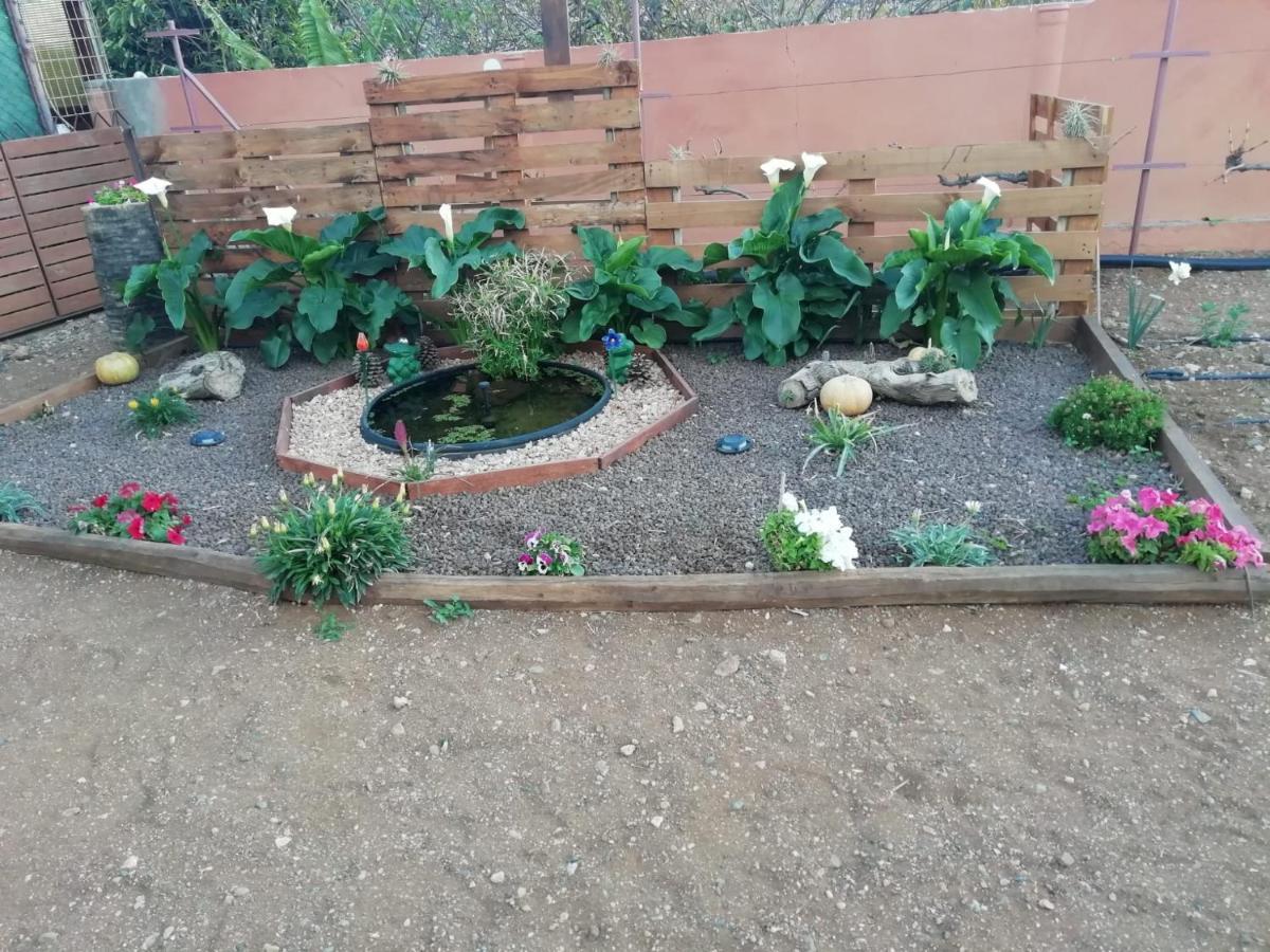 La Casita Del Naranjo Villa Agüimes Eksteriør billede